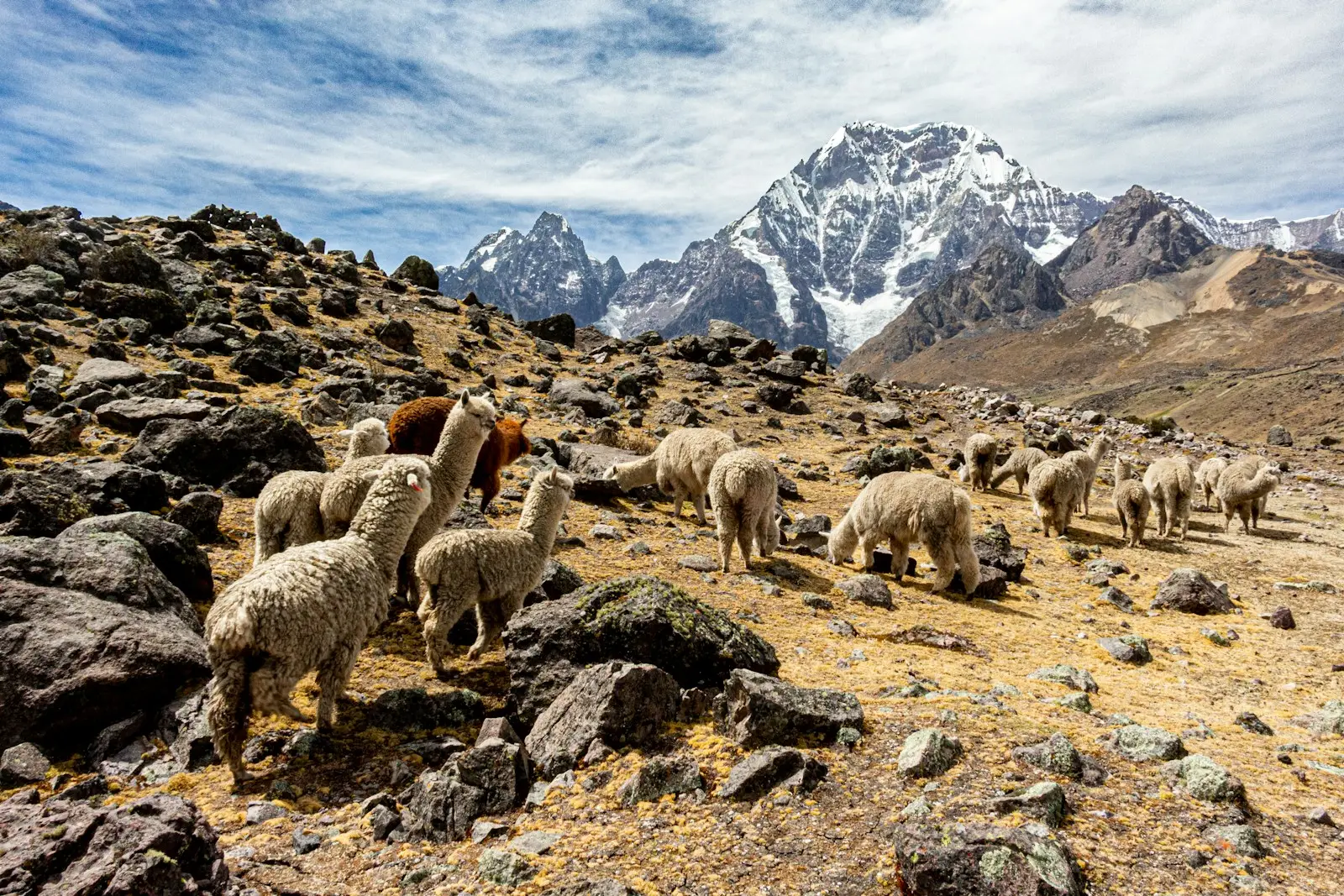 High plateau near Puno